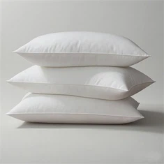 Pure Goose Down Pillows